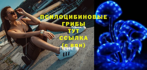 амф Абинск